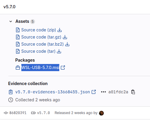 WSL USB GUI Releases Image